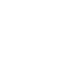 Buffalo Skull