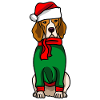 Beagle mit Christmas Sweater