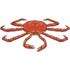 Crab Crab Fishing Gift