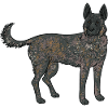 Holländischer Schäferhund Dutch Shepherd