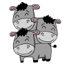 Cute donkeys