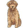 Goldendoodle Dog Gift