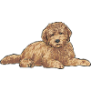 Goldendoodle Dog Gift