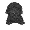 Goldendoodle Dog Gift