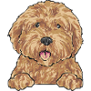 Goldendoodle Dog Gift