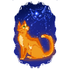Firestar Bluestar Firestar Bluestar Cat