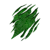 Developer Coder Programmer