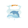 Delfin Delfinschule Säugetier Meer Delfinarium