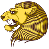 Lion portrait