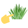 Touch Grass