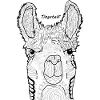 lama