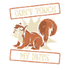 Squirrel Animal