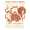 Squirrel Animal