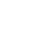 Steyr