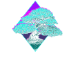 Bonsai Tree
