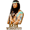 Save Winnetou,Winnetou,Indianer,Illustration