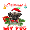 Cute Christmas Pug