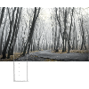 Fog I (EPHEMERAL series)