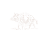 Papy Chasseur de Sanglier