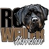 Rottie Herrchen