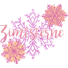 Cinnamon Star Christmas Motif