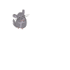 Chinchilla heartbeat