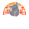 Chinchilla Heartbeat Rétro