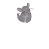 Chinchilla heartbeat