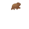Wombat Heartbeat