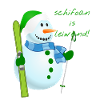 Leiwand Schifoan
