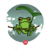 grenouille grenouille