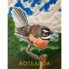 Bird Aotearoa