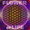 Flower of Life Art