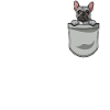French Bulldog Dog Owner