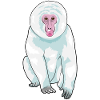 Monkey Chewing Gum