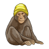 Bonnet de singe