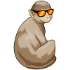 Monkey Sunglasses