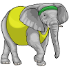 Elephant Jogger Fitness