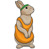 Coureur Bunny Jogger Sport