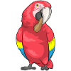 Parrot Peanut