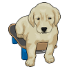 Dog Skater Skateboard