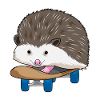 Hedgehog Skater Skateboard