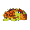 Turtle Funny Gift