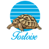 Turtle Mama