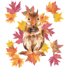 Squirrel with autumn leaves