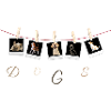 DOGS
