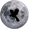 birdsky