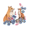 Fox family