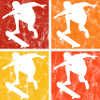 Skateboarder Skateboard Skater Skate Skateing