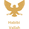 Habibi Vallah